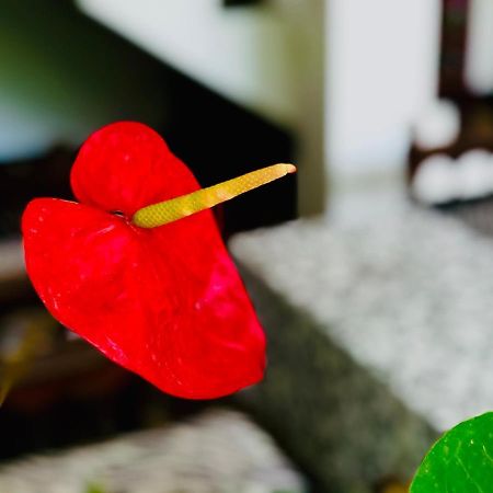Siri'S Residency Apartment Habaraduwa ภายนอก รูปภาพ