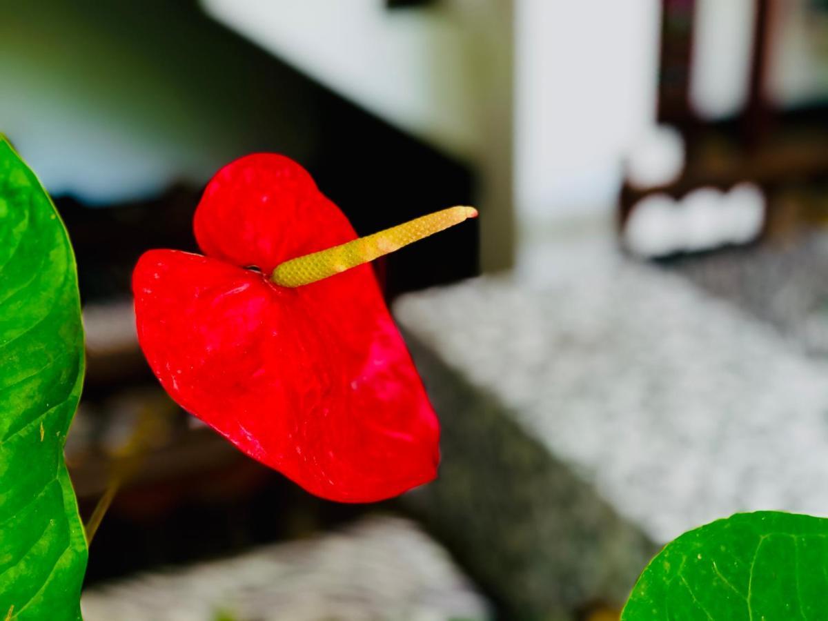Siri'S Residency Apartment Habaraduwa ภายนอก รูปภาพ
