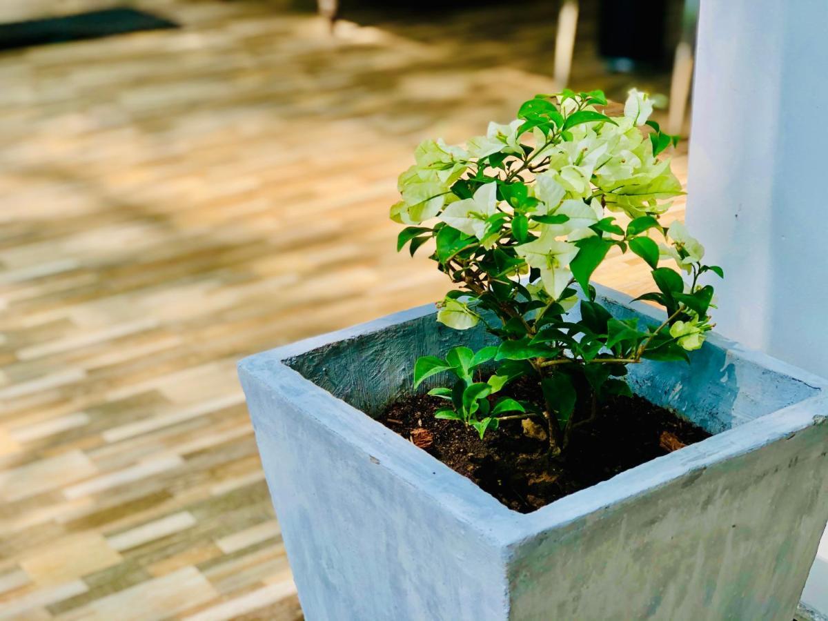 Siri'S Residency Apartment Habaraduwa ภายนอก รูปภาพ